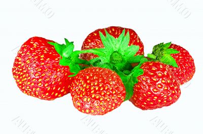 five isolated strawberries