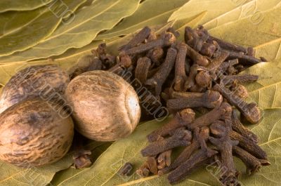spices