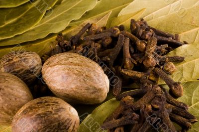 spices 2