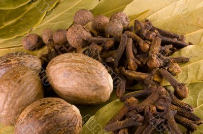 spices 2
