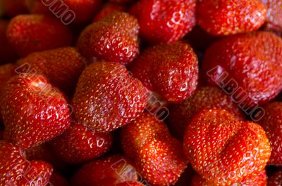 many strawberries