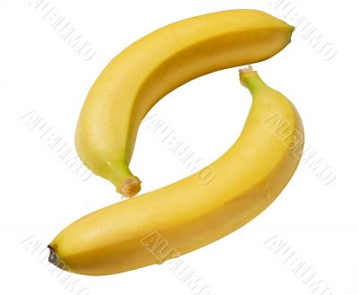 nice banana fruits