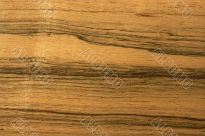 texture 1