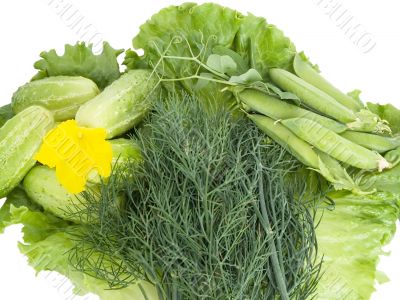 Cucumber, lettuce, dill, pea