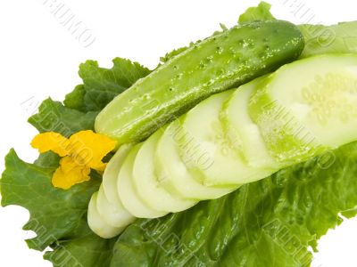 cucumbers 1