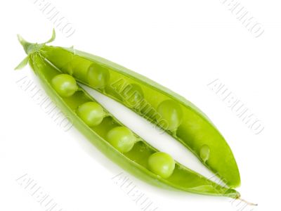 pea cut