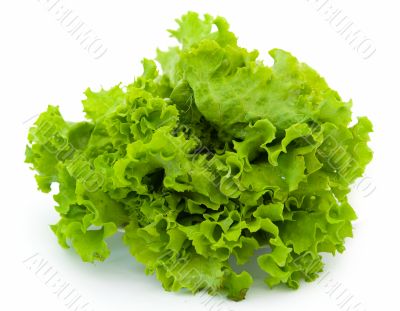 Green salad