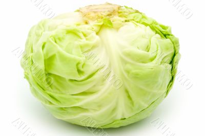 cabbage