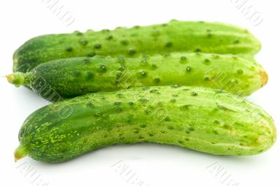 green cucumbers