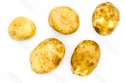 potatoes