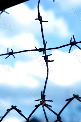barbered wire