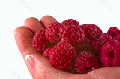 handfull of rasberries