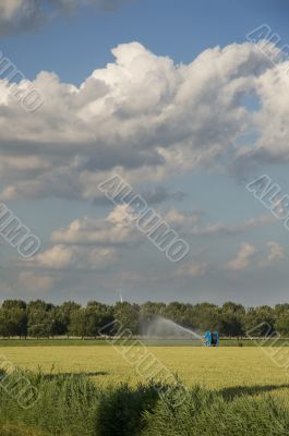 giving water