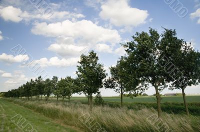 Dutch landscape