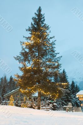 Christmas Tree
