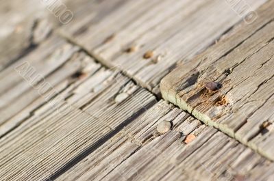 Weathered Boardwalk