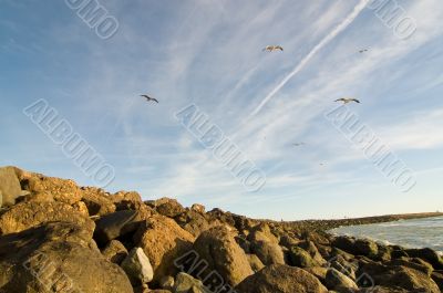 Boulder Coastline