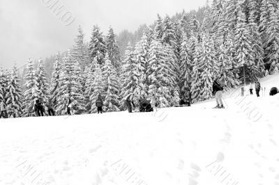 Skiers on mountain slopes