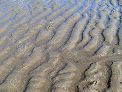 Ripples in sand