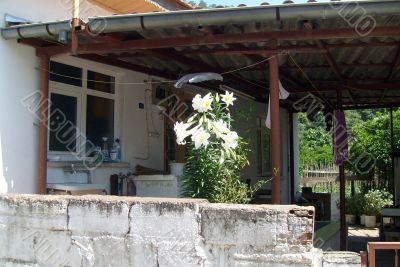 Traditional Turksih home