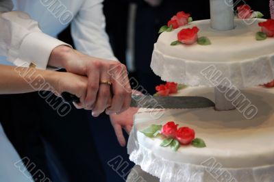 Cutting weddding cake