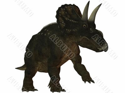 Diceratops-3D Dinosaur