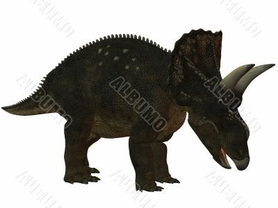 Diceratops-3D Dinosaur