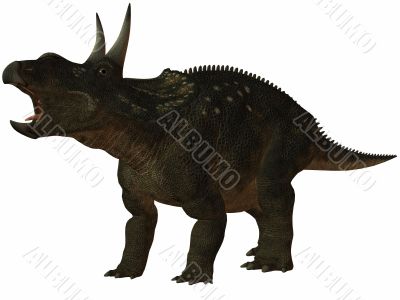 Diceratops-3D Dinosaur