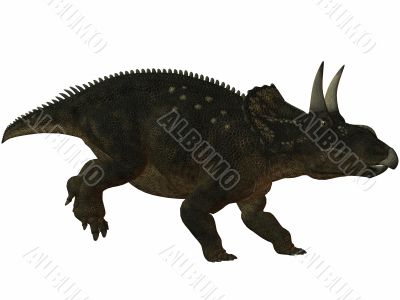 Diceratops-3D Dinosaur