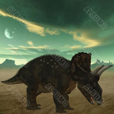 Diceratops-3D Dinosaur