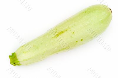 vegetable marrow