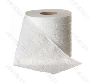 Toilet Paper