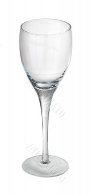 Wine Glass