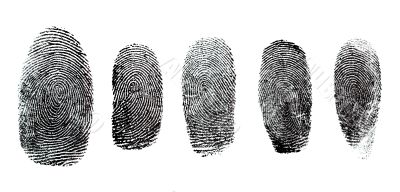 Fingerprint Set