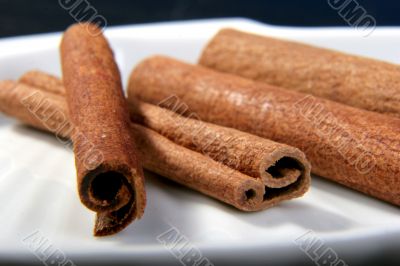 cinnamon sticks