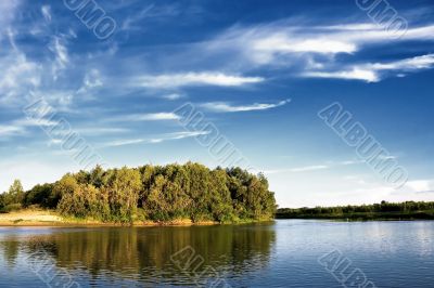 Trees on the riverside