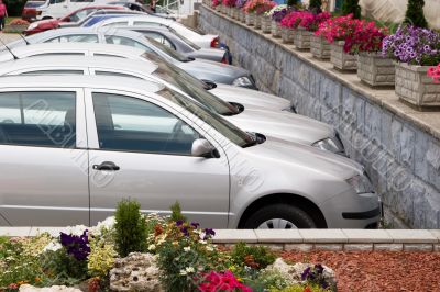 Parked cars and flowers