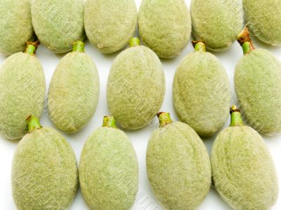 almond nuts