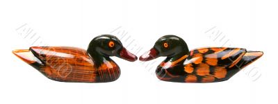 isolated two ducks face to face
