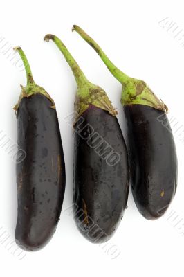 big eggplants