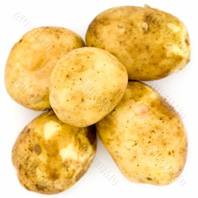 big potatoes