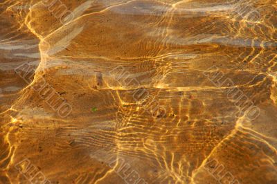 yellow water