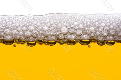 beer