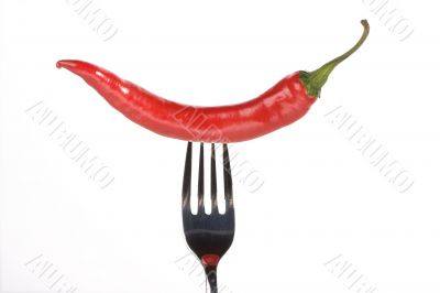 chili pepper