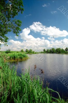 Calm lake in summer day