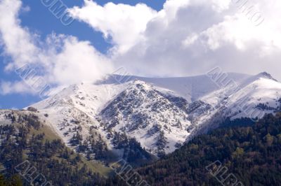 Caucasus