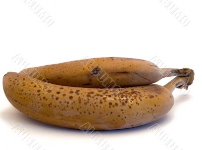 Frozen Bananas