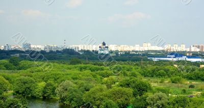 Cityscape in nature