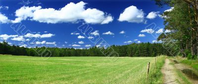 panoramic view on grass field, forest and a path