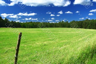 picturesque country road and field #3